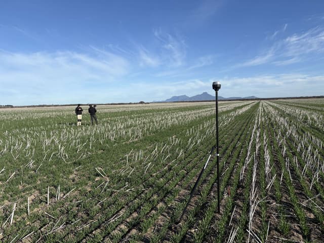 Agricultural field with people working
