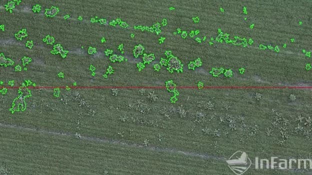 Detected weeds highlighted for precision spraying